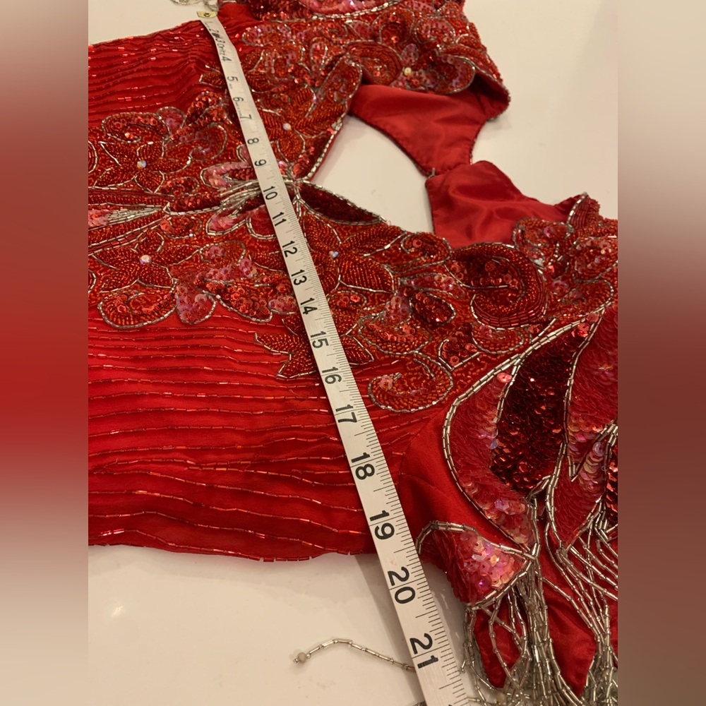 Vintage Red Silk Beaded Gown Intricate Platinum Fringe Short Sleeve Size 14. - Picture 8 of 16